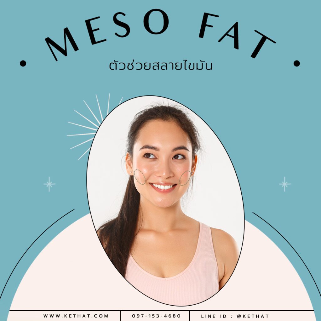 MESO FAT ตัวช่วยสลายไขมัน
